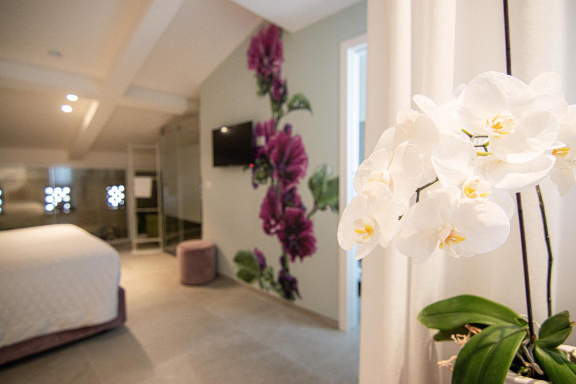 Profumi Di Primavera Luxury Rooms & Suite 马泰拉 外观 照片